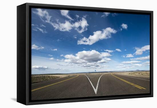 A split in the road along Route 40 in Patagonia, Argentina, South America-Alex Treadway-Framed Premier Image Canvas