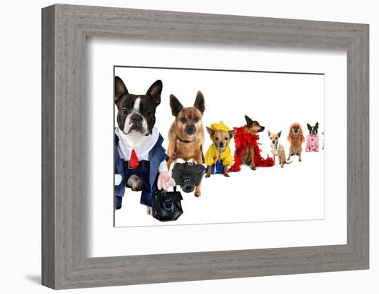 A Spoof On Business Images But With Dogs-graphicphoto-Framed Photographic Print