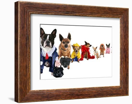 A Spoof On Business Images But With Dogs-graphicphoto-Framed Photographic Print