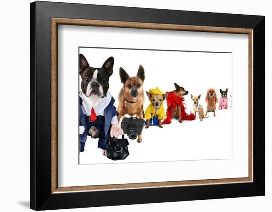 A Spoof On Business Images But With Dogs-graphicphoto-Framed Photographic Print