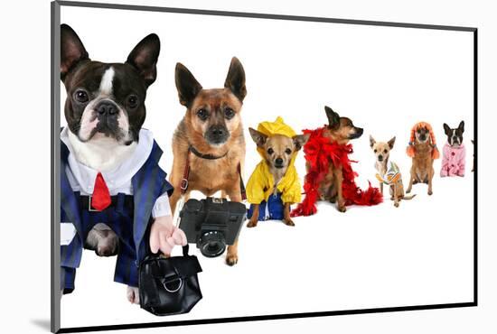 A Spoof On Business Images But With Dogs-graphicphoto-Mounted Photographic Print