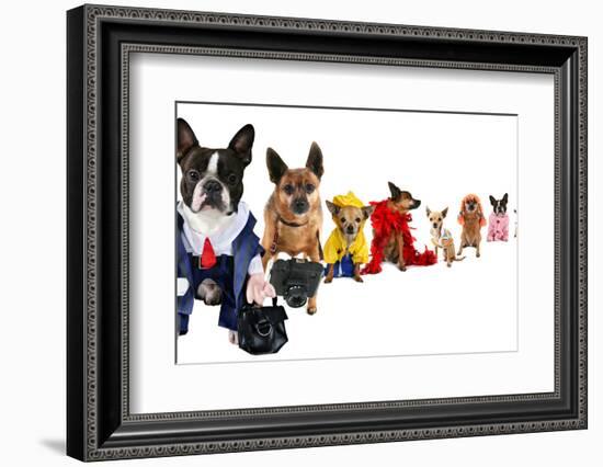 A Spoof On Business Images But With Dogs-graphicphoto-Framed Photographic Print