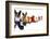 A Spoof On Business Images But With Dogs-graphicphoto-Framed Photographic Print