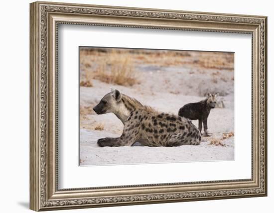 A spotted hyena and cub (Crocuta crocuta) at the den, Khwai Concession, Okavango Delta, Botswana, A-Sergio Pitamitz-Framed Photographic Print