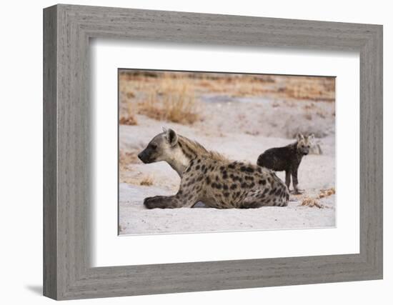 A spotted hyena and cub (Crocuta crocuta) at the den, Khwai Concession, Okavango Delta, Botswana, A-Sergio Pitamitz-Framed Photographic Print