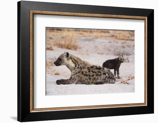 A spotted hyena and cub (Crocuta crocuta) at the den, Khwai Concession, Okavango Delta, Botswana, A-Sergio Pitamitz-Framed Photographic Print