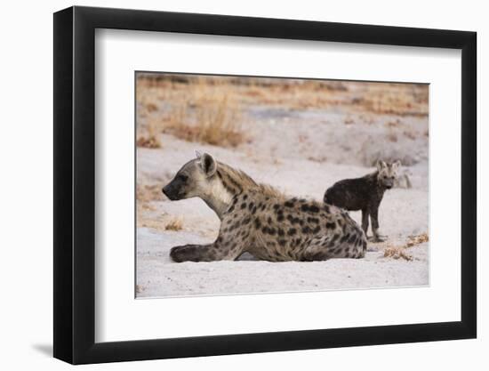 A spotted hyena and cub (Crocuta crocuta) at the den, Khwai Concession, Okavango Delta, Botswana, A-Sergio Pitamitz-Framed Photographic Print