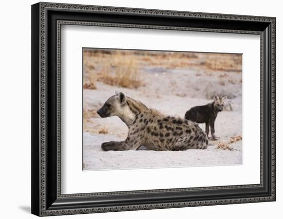 A spotted hyena and cub (Crocuta crocuta) at the den, Khwai Concession, Okavango Delta, Botswana, A-Sergio Pitamitz-Framed Photographic Print