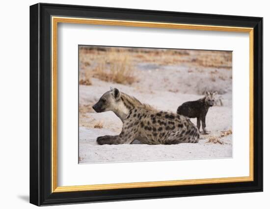 A spotted hyena and cub (Crocuta crocuta) at the den, Khwai Concession, Okavango Delta, Botswana, A-Sergio Pitamitz-Framed Photographic Print