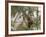 A Spotted Owl (Strix Occidentalis) in Los Angeles County, California.-Neil Losin-Framed Photographic Print