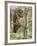 A Spotted Owl (Strix Occidentalis) in Los Angeles County, California.-Neil Losin-Framed Photographic Print