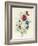 A Spray of Flowers Including a Rose-Caroline Adrien-Framed Giclee Print