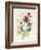 A Spray of Flowers Including a Rose-Caroline Adrien-Framed Giclee Print