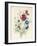 A Spray of Flowers Including a Rose-Caroline Adrien-Framed Giclee Print