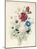 A Spray of Flowers Including a Rose-Caroline Adrien-Mounted Giclee Print