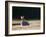 A Spring Rabbit, Oryctolagus Cuniculus, in the Evening-Alex Saberi-Framed Photographic Print