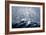 A Squall Off Cape Horn-Currier & Ives-Framed Giclee Print
