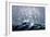 A Squall Off Cape Horn-Currier & Ives-Framed Giclee Print