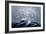 A Squall Off Cape Horn-Currier & Ives-Framed Giclee Print