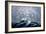 A Squall Off Cape Horn-Currier & Ives-Framed Giclee Print