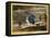 A Squall, Pub. H Humphrey, London, 1810-James Gillray-Framed Premier Image Canvas