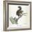 A Squirrel-Werner-Framed Giclee Print