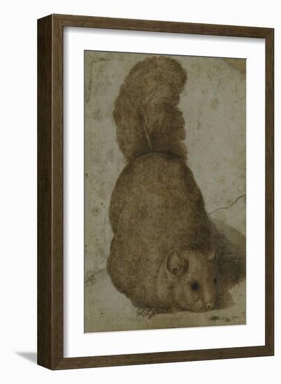 A Squirrel-Giovanni da Udine (Attr to)-Framed Giclee Print