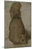A Squirrel-Giovanni da Udine (Attr to)-Mounted Giclee Print