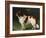 A St. Bernard on the Edge of a Wood-Heinrich Sperling-Framed Giclee Print