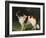 A St. Bernard on the Edge of a Wood-Heinrich Sperling-Framed Giclee Print