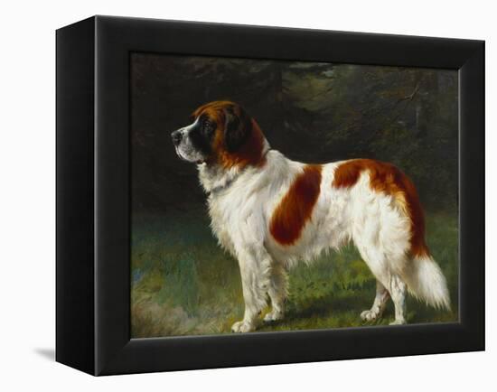 A St. Bernard on the Edge of a Wood-Heinrich Sperling-Framed Premier Image Canvas