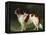 A St. Bernard on the Edge of a Wood-Heinrich Sperling-Framed Premier Image Canvas