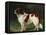 A St. Bernard on the Edge of a Wood-Heinrich Sperling-Framed Premier Image Canvas