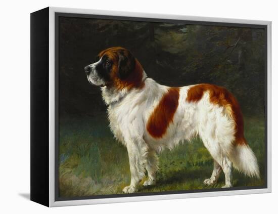 A St. Bernard on the Edge of a Wood-Heinrich Sperling-Framed Premier Image Canvas