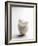 A Stack of Egg Shells-Pepe Nilsson-Framed Photographic Print