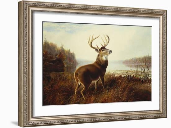 A Stag by a Lake-Arthur Fitzwilliam Tait-Framed Giclee Print