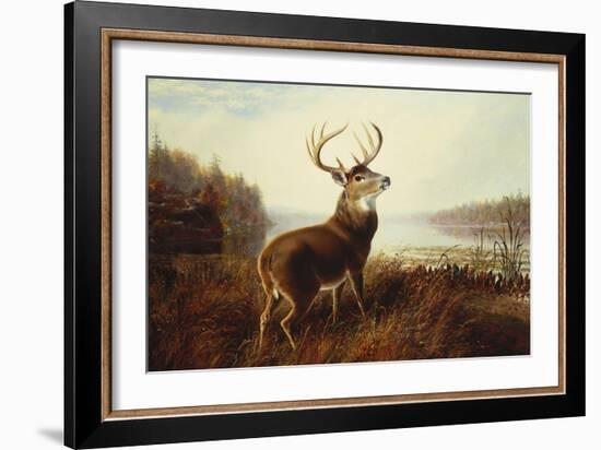 A Stag by a Lake-Arthur Fitzwilliam Tait-Framed Giclee Print