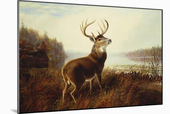 A Stag by a Lake-Arthur Fitzwilliam Tait-Mounted Giclee Print