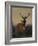 A Stag with a Deer in a Wooded Landscape at Sunset, 1865 watercolor-Carl Friedrich Deiker-Framed Giclee Print