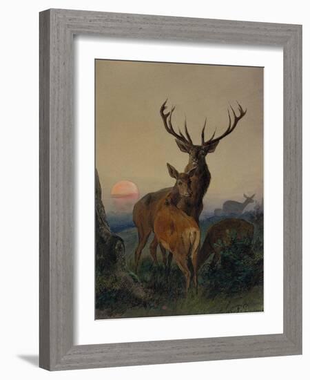 A Stag with a Deer in a Wooded Landscape at Sunset, 1865 watercolor-Carl Friedrich Deiker-Framed Giclee Print