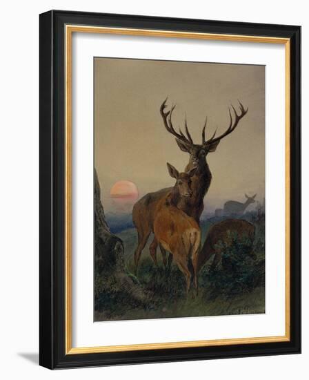 A Stag with a Deer in a Wooded Landscape at Sunset, 1865 watercolor-Carl Friedrich Deiker-Framed Giclee Print