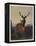 A Stag with Deer in a Wooded Landscape at Sunset, 1865-Charles Jones-Framed Premier Image Canvas