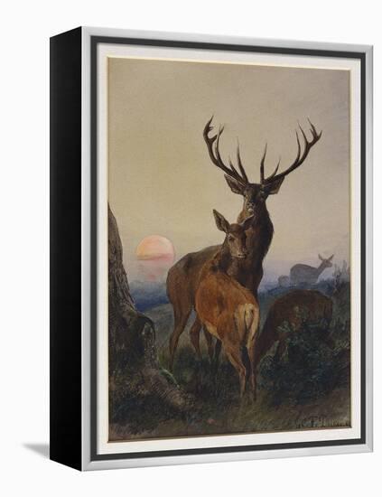 A Stag with Deer in a Wooded Landscape at Sunset, 1865-Charles Jones-Framed Premier Image Canvas