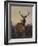 A Stag with Deer in a Wooded Landscape at Sunset-Carl Friedrich Deiker-Framed Giclee Print