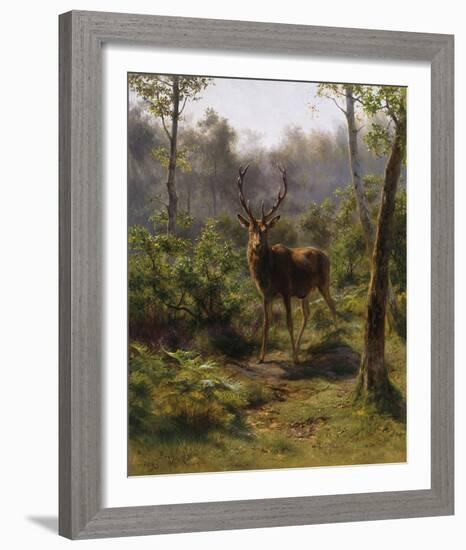 A Stag-Rosa Bonheur-Framed Giclee Print