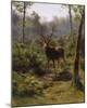 A Stag-Rosa Bonheur-Mounted Giclee Print