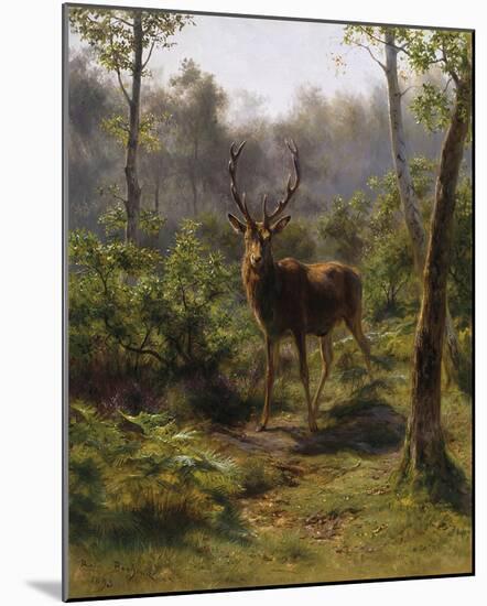 A Stag-Rosa Bonheur-Mounted Giclee Print