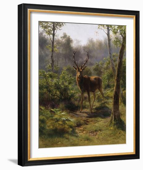 A Stag-Rosa Bonheur-Framed Giclee Print