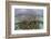 A Staghorn Coral Colony Grows in Shallow Water in the Solomon Islands-Stocktrek Images-Framed Photographic Print