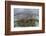 A Staghorn Coral Colony Grows in Shallow Water in the Solomon Islands-Stocktrek Images-Framed Photographic Print